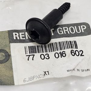 Parafuso de Aço Friso Lateral Renault Master II - 7703016602
