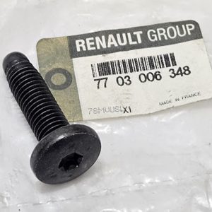 Parafuso de Aço Trilho Banco Renault Fluence Megane III - 7703006348