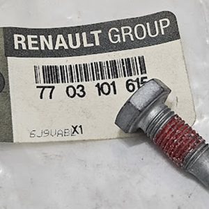 Parafuso Sextavado Espelho Traseiro do Freio Renault Clio II - 7703101615