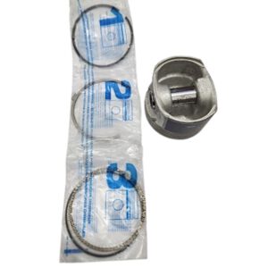 Pistão E Aneis D4d 69,015 Renault Clio 1.0 16v - 7701477259