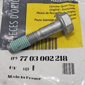 Parafuso de Aço Galvanizado Suporte do Coxim Renault Kangoo - 7703002218