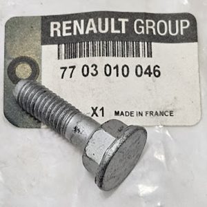 Parafuso de Aço M8 Haste Setora de Marcha Renault Clio II - 7703010046