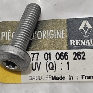 Parafuso de Aço Valvula Egr Renault Master II - 7701066262