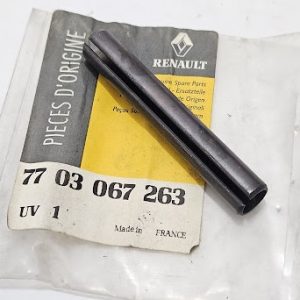 Cavilha de Aço Dobradiça da Porta Renault Trafic - 7703067263