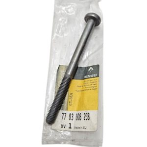 Parafuso de Aço Tampa Pedal do Freio Renault Kangoo - 7703008238